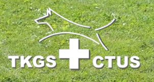 lien sur logo TKGS-C
TUS